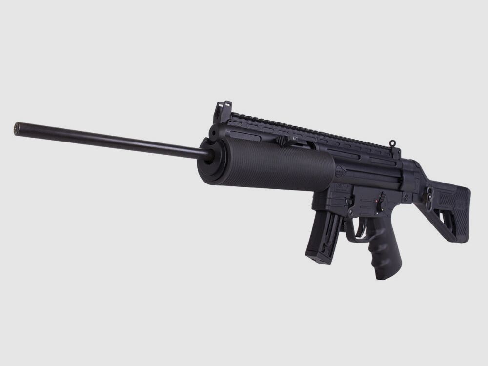 German Sport Guns	 GSG-16 Sport