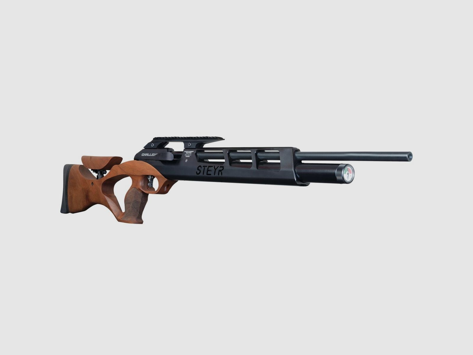 Steyr Match Luftgewehr Challenge Hunting