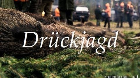 Drückjagd im Wilden Osten - Unterwegs mit den Hunter Brothers Teil 1/2