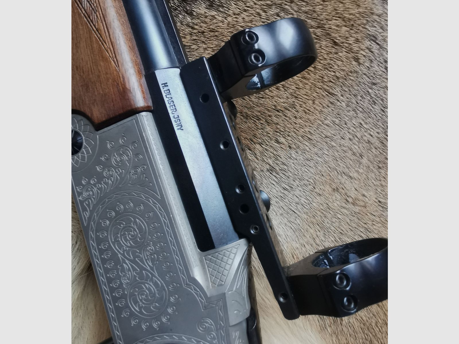 Blaser BBF 750/88 Einschloß ohne Umschaltung
