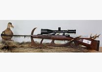 Mauser 2000 mit Swarovski Habicht Nova 3-12 x 56 Abs. 8 beleuchtet - 9,3 x 64