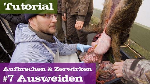 #7 Ausweiden - Lehrgang Aufbrechen & Zerwirken