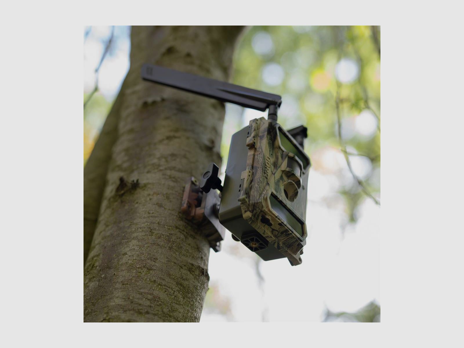 DÖRR Haltesystem Multi für SnapShot camouflage