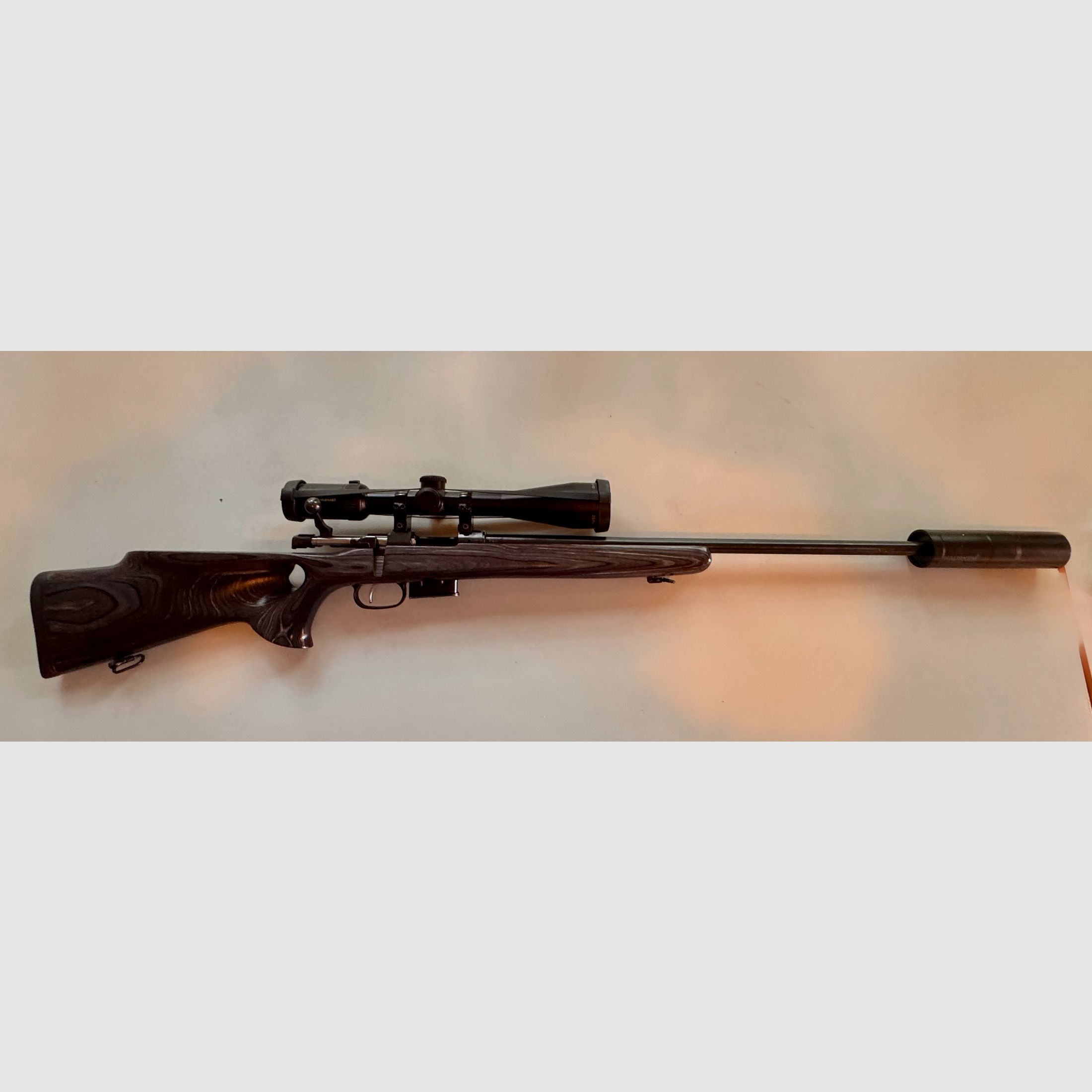 CZ 527 Thumbhole .17 HORNET mit Hausken SD & Delta Titanium HD – Raubwild-Profi