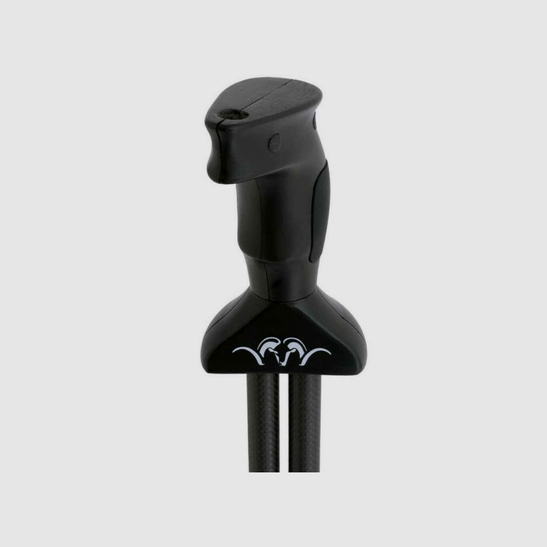 Blaser Carbon Zielstock 2.0
