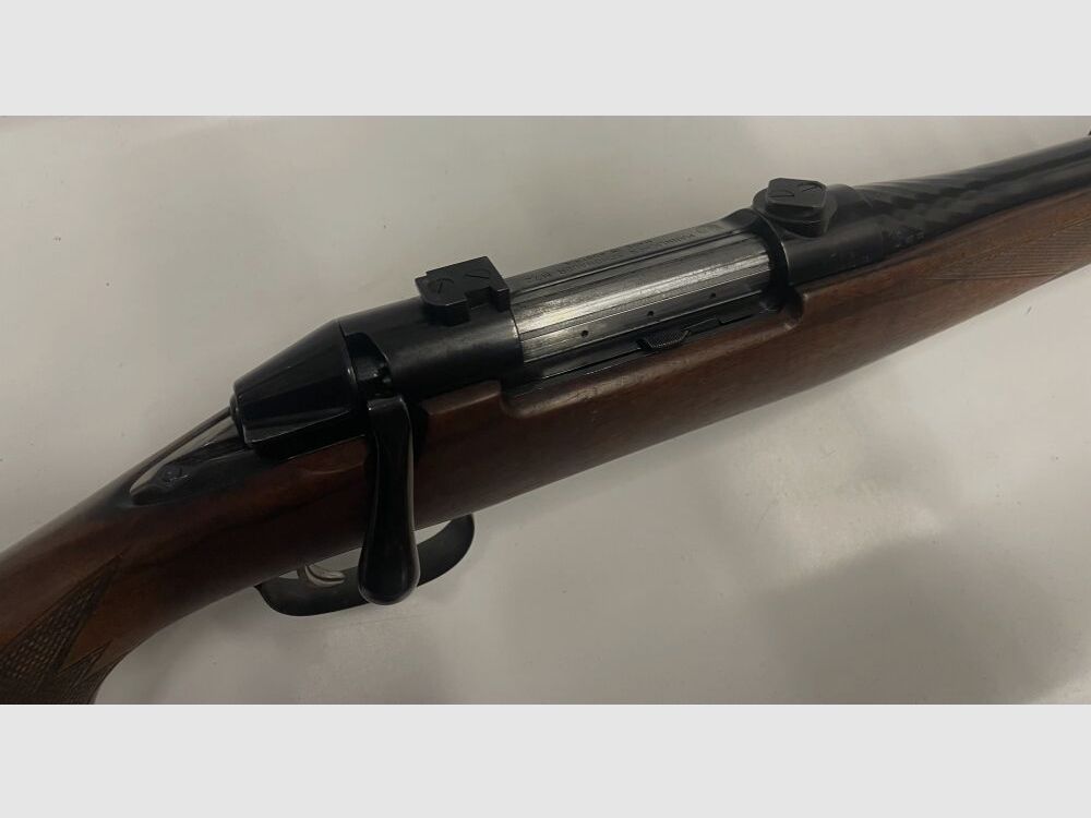 Steyr Mannlicher M72