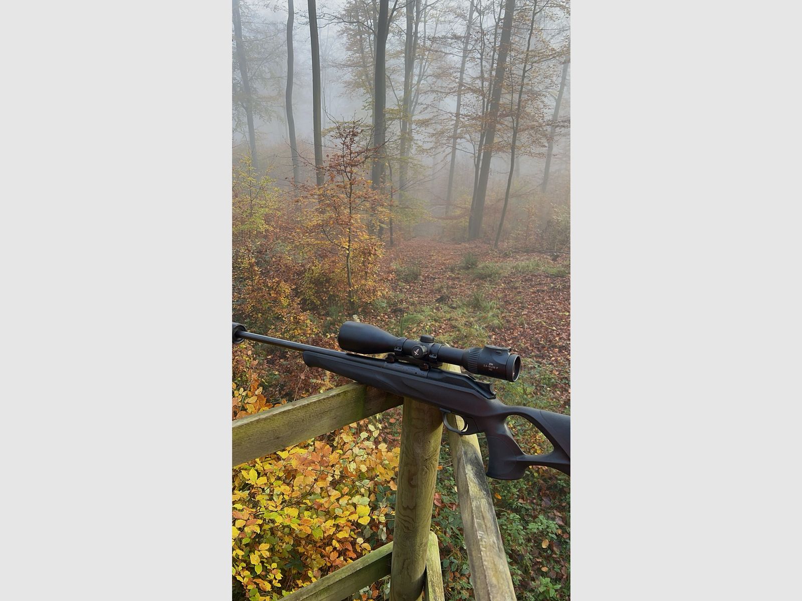 Blaser R8 Professional Success 