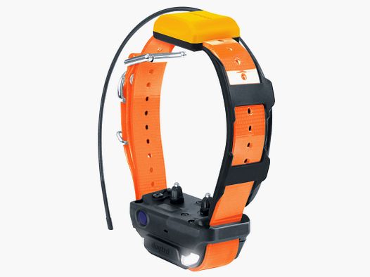 DOGTRA Pathfinder 2 additional collar