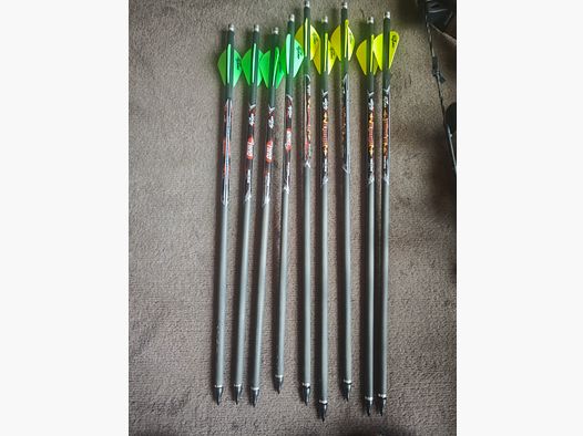 Excalibur Micro Assassin 400TD