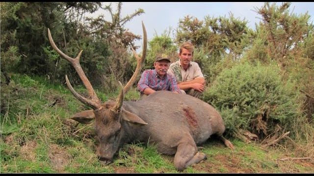 Hunting adventures in New Zealand