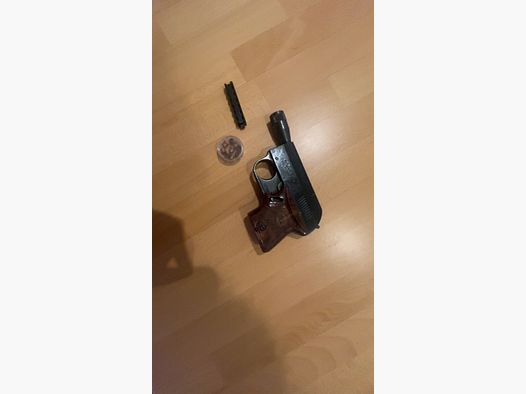 Röhm rg3+pfefferpatronen