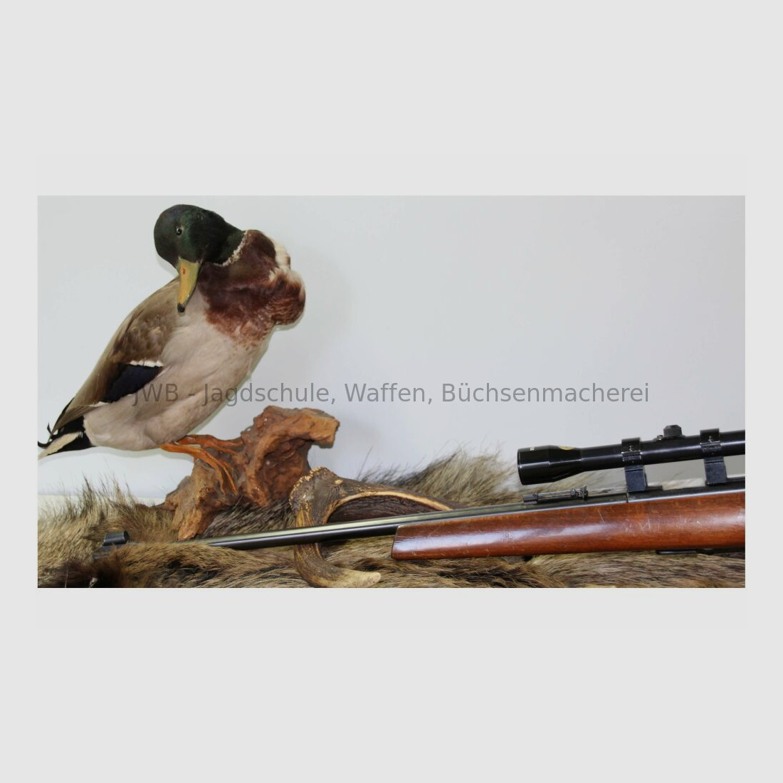 Anschütz 1415 .22lr