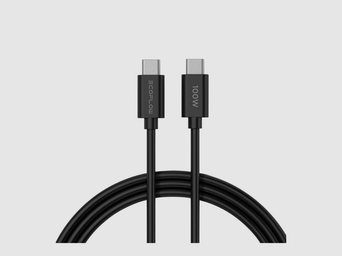 EcoFlow Gan Rapid 65W Ladegerät mit 100W Kabel, Bild 2 von 2