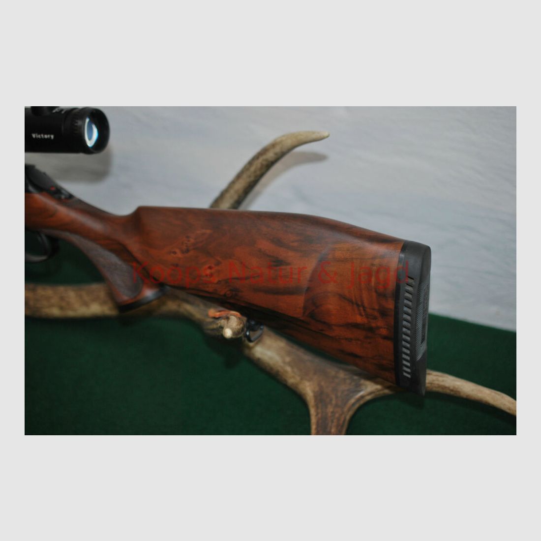 Sauer 202 Forest