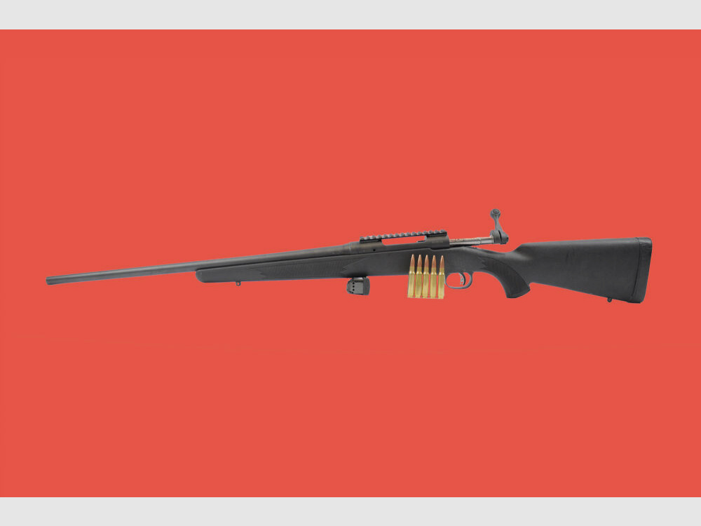 Savage 110
