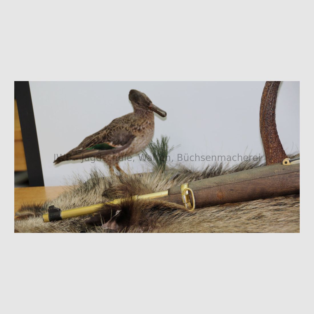 La Coruna - unsere Goldmarie ;-)