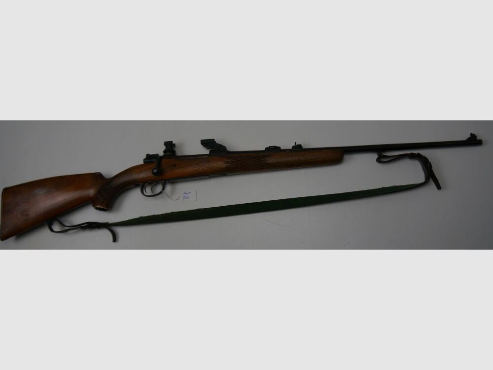 Mauser 98 system