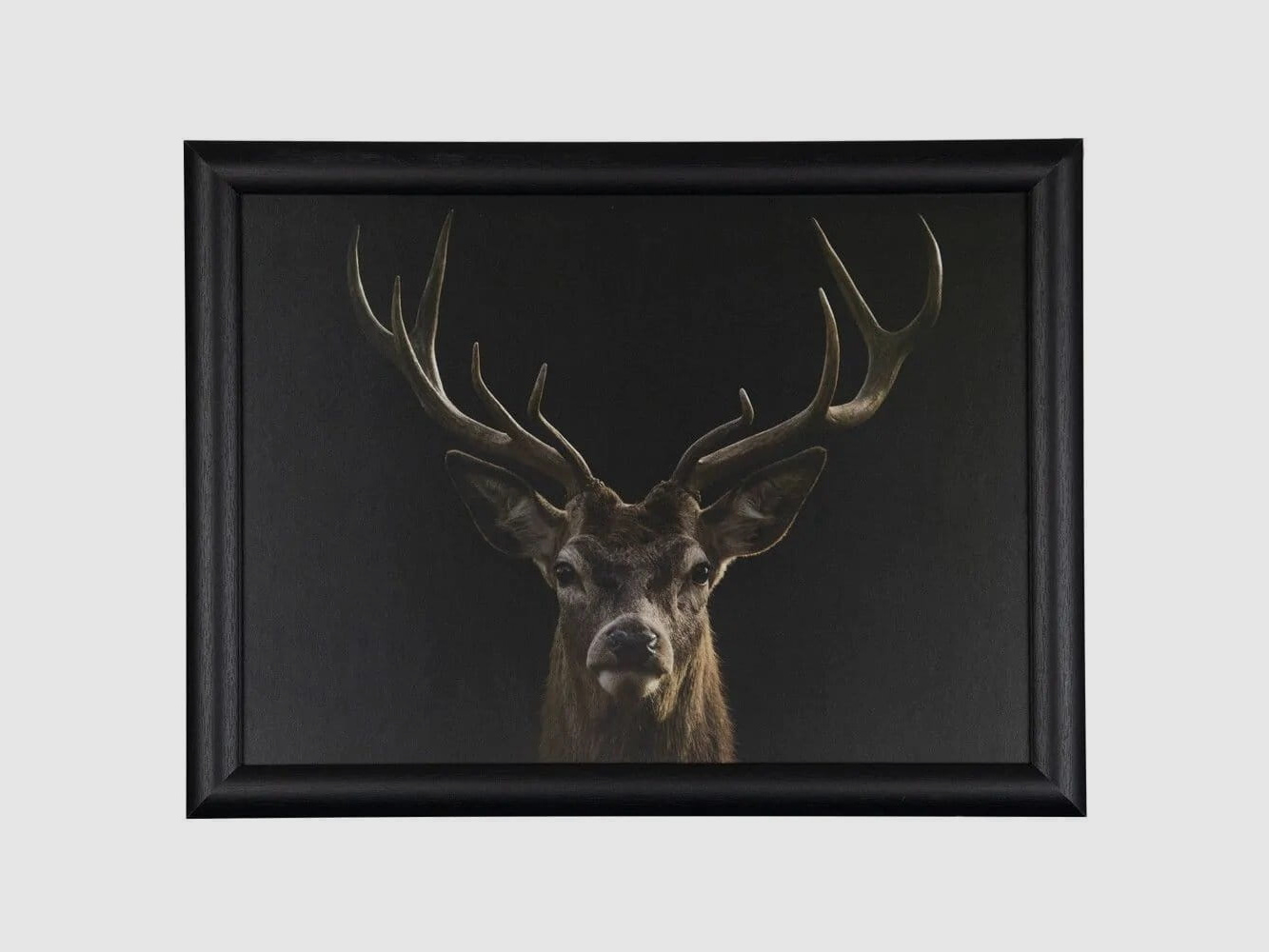 LivingActive Laptop Table Rothirsch black