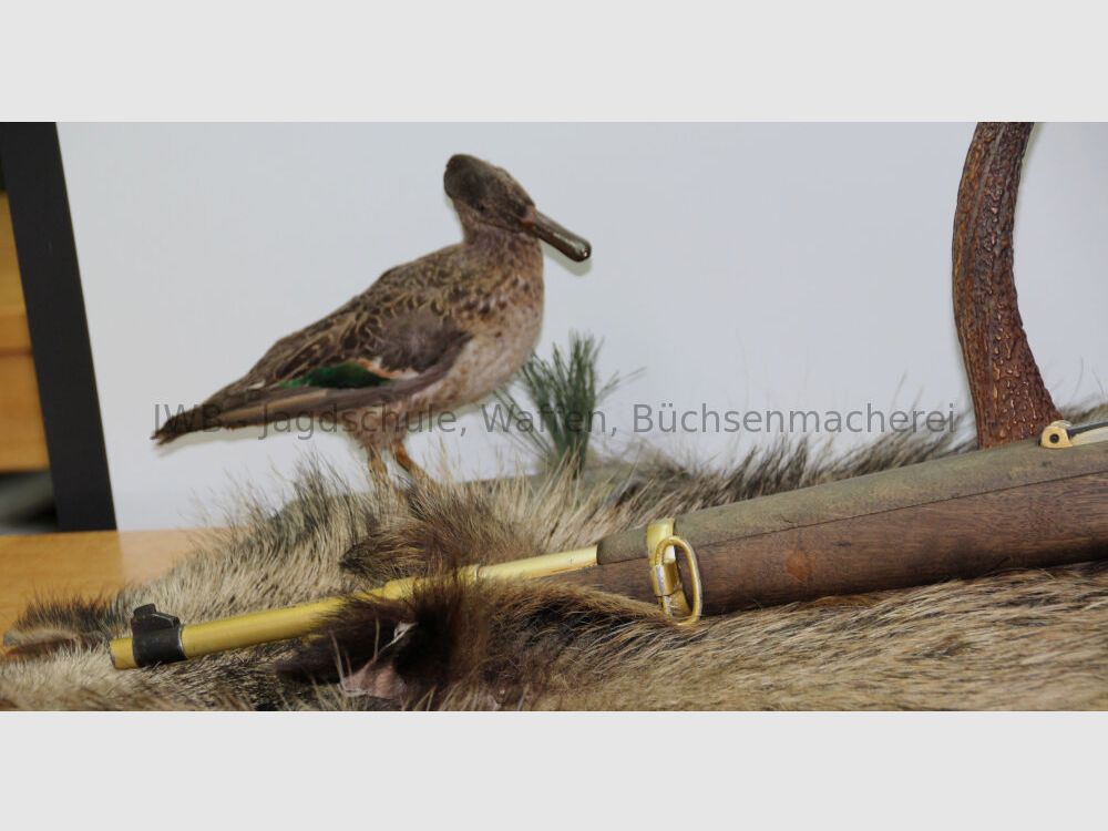 La Coruna - unsere Goldmarie ;-)