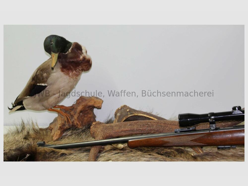 Anschütz 1400 .22lr