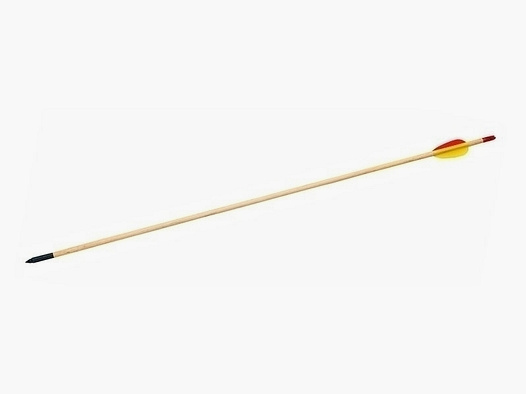 Freccia sportiva, legno di abete, piume lunghezza 66 cm (26 ")