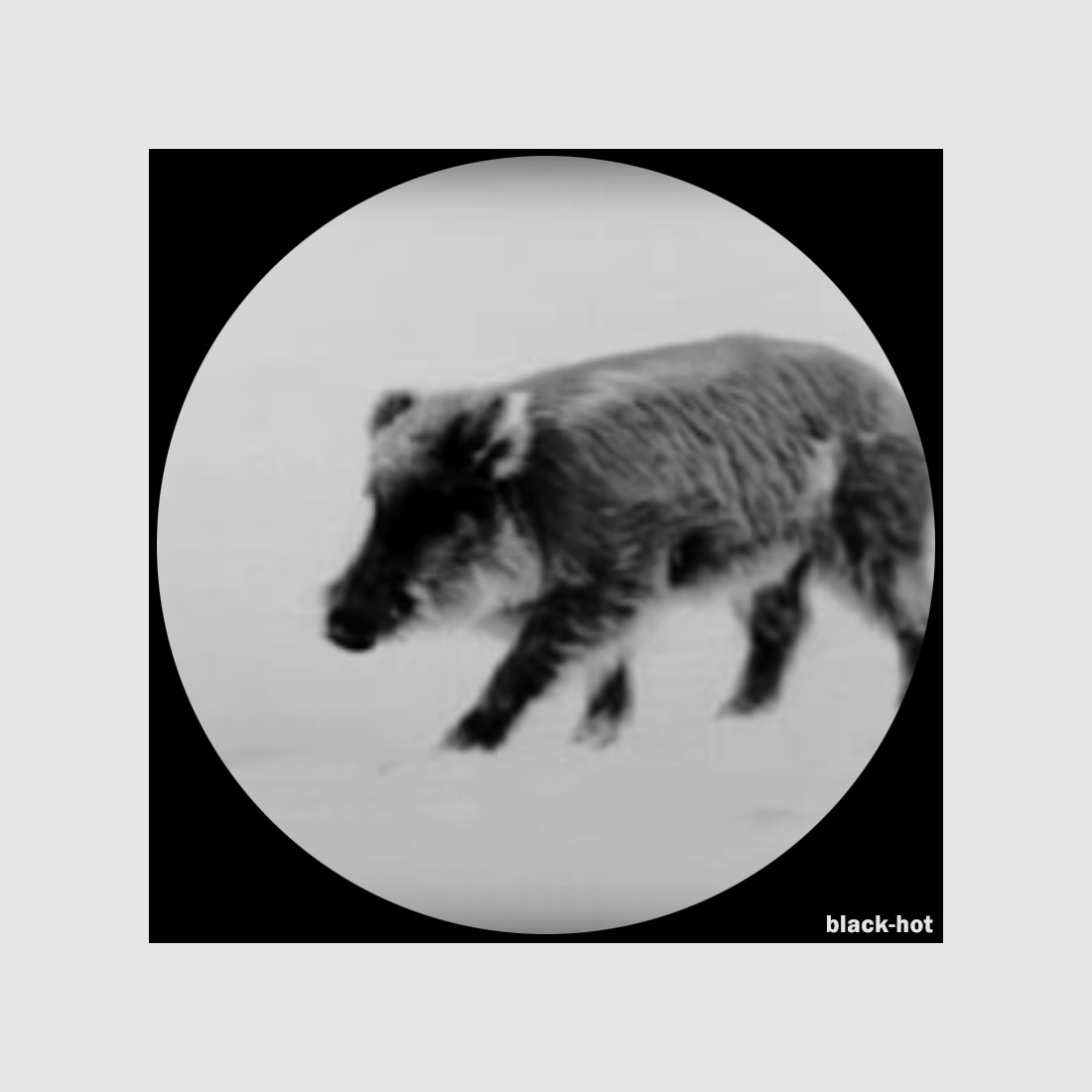 Lahoux Spotter Elite 35V Wärmebildkamera