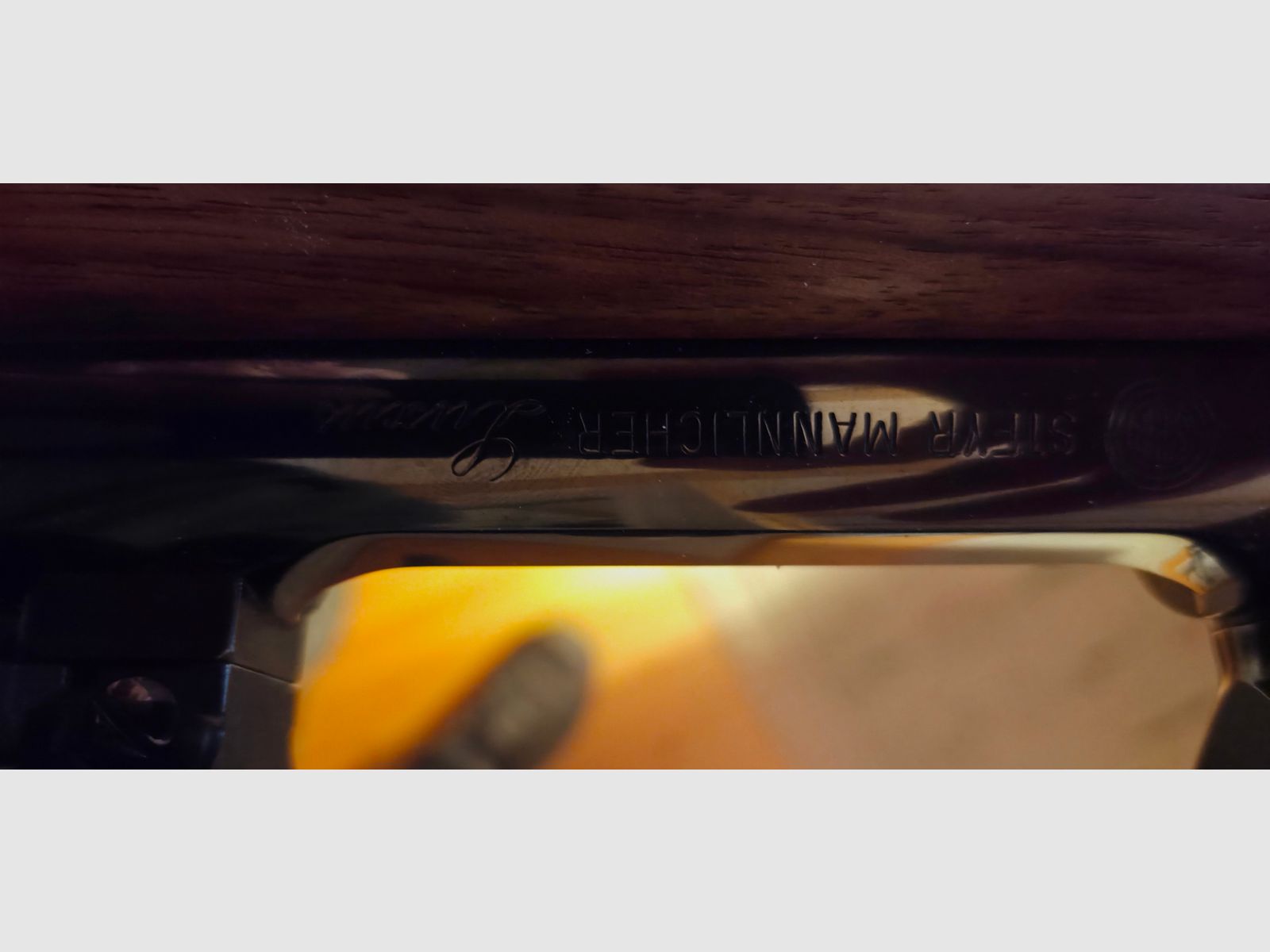 Steyr manlicher Luxus 