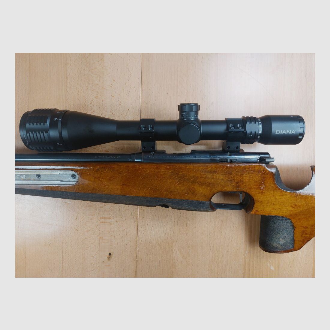 Anschütz , Ulm Biathlon