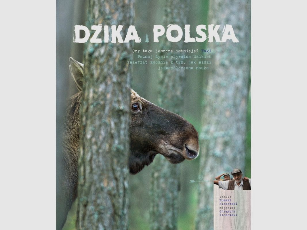 DZIKA POLSKA - TOMASZ KŁOSOWSKI