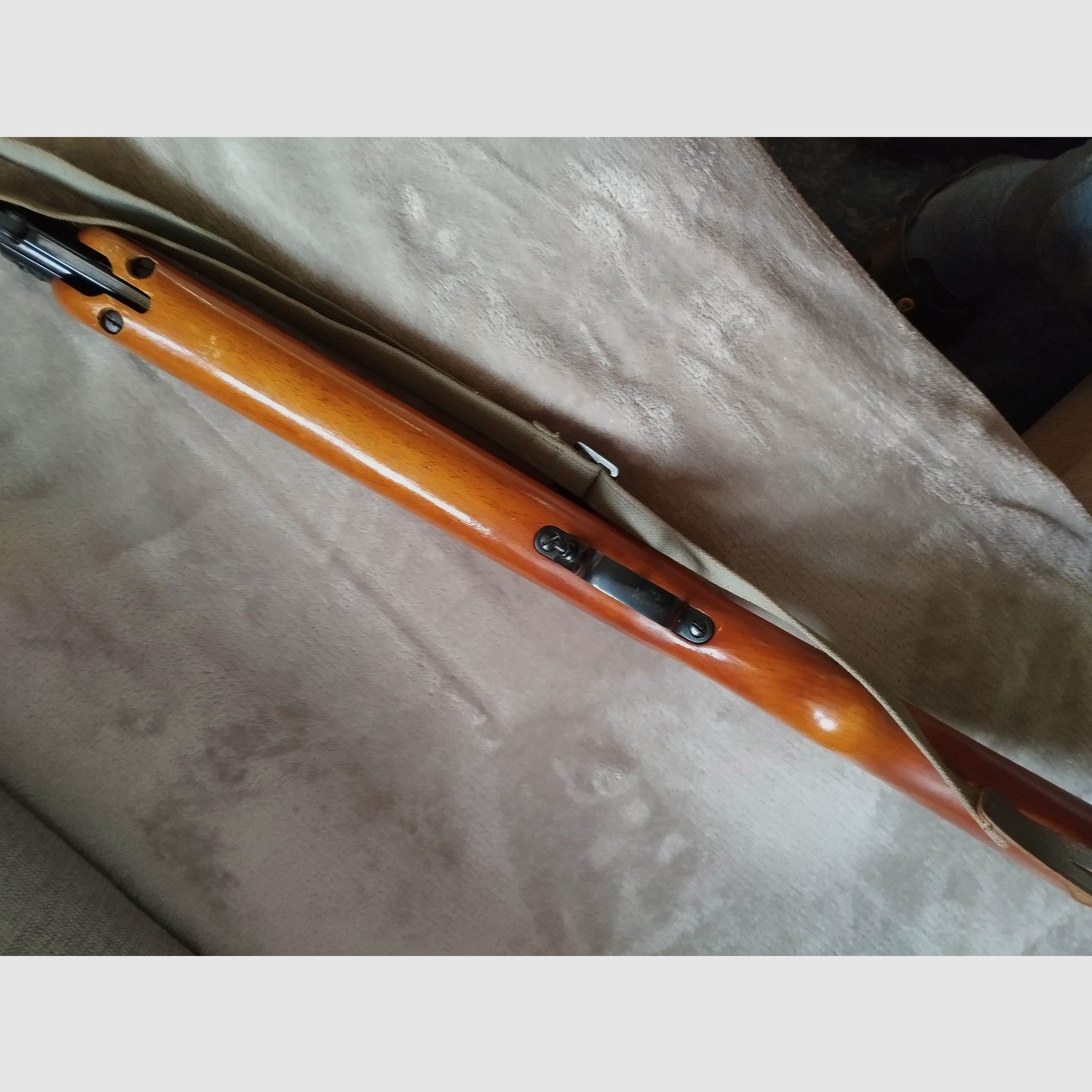 Haenel 303 -6 con correa de transporte