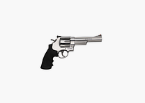 Smith & Wesson Revolver 629 .44 Rem. Mag. Schwarz