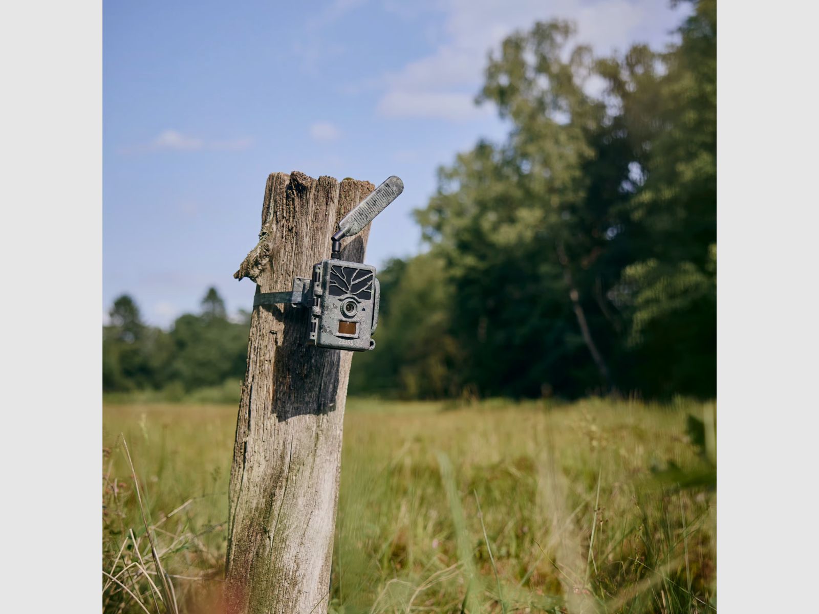 ZEISS Wildlife Camera Secacam 1 LTE