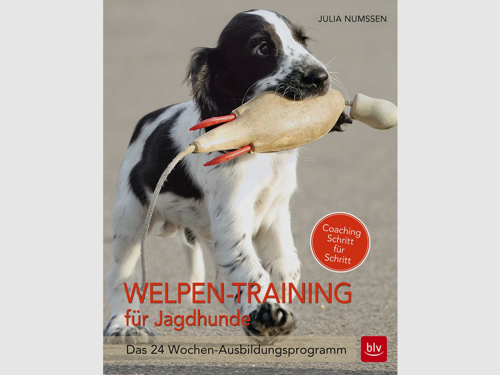 Puppytraining voor jachthonden - Het 24 weken durende trainingsprogramma