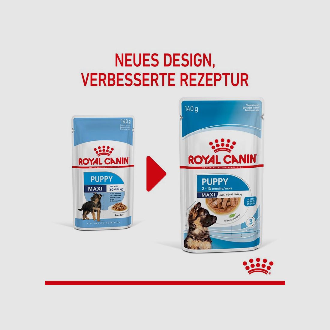 ROYAL CANIN Große Hunde Nassfutter Maxi Welpen bis zum 15. Monat 10x140 g