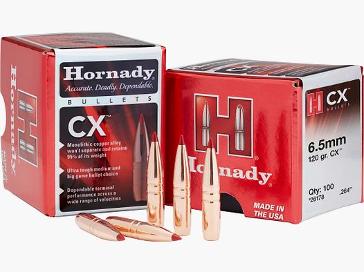 Hornady .375 H&H DGX 300gr