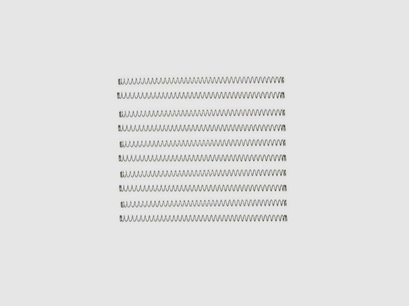 10 Schließfedern XP Walther M1