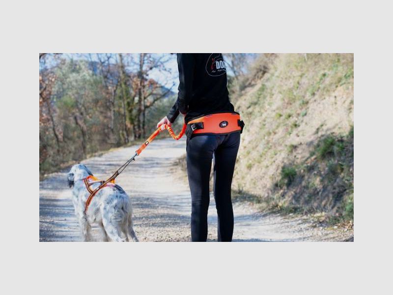 I-DOG canicross hip belt ONE LIGHT, image 8 of 12