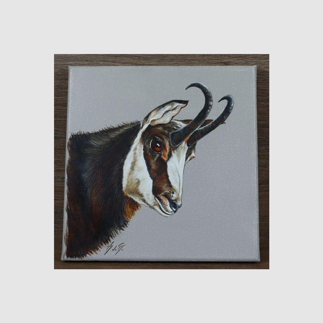 Peinture Sur Toile Chamois