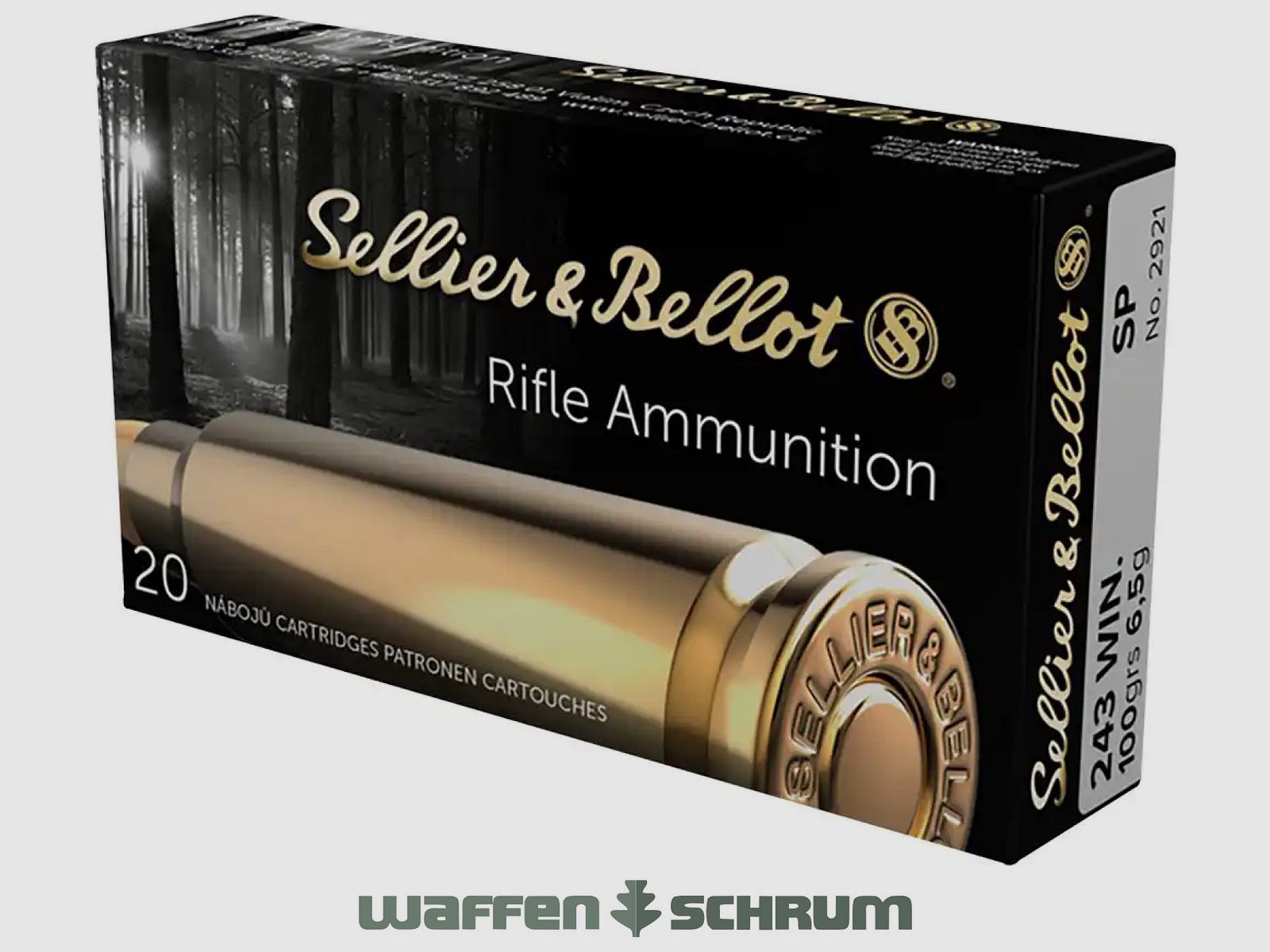 Sellier & Bellot Partial Jacket 6.5g - 100gr. .243Win