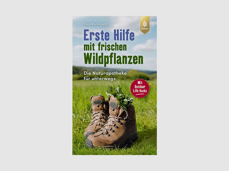 First aid with fresh wild plants