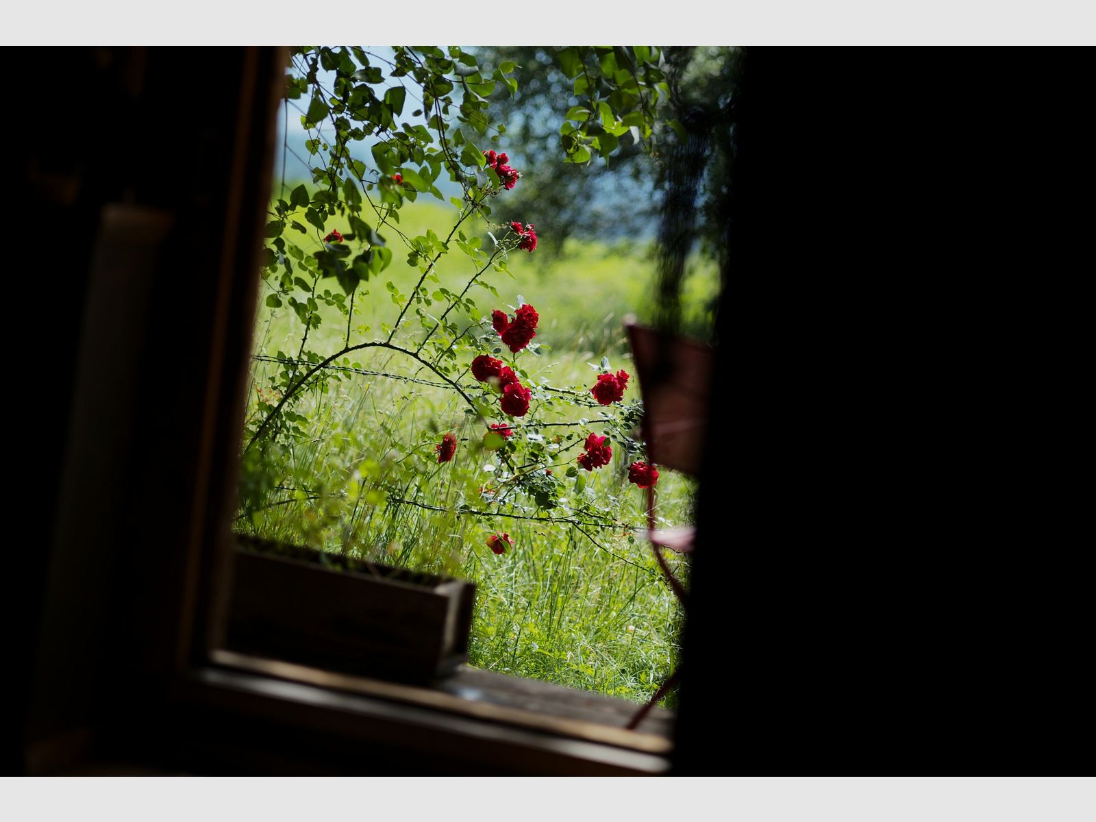 BAVARIAN SLIDE SHOW BIWAK