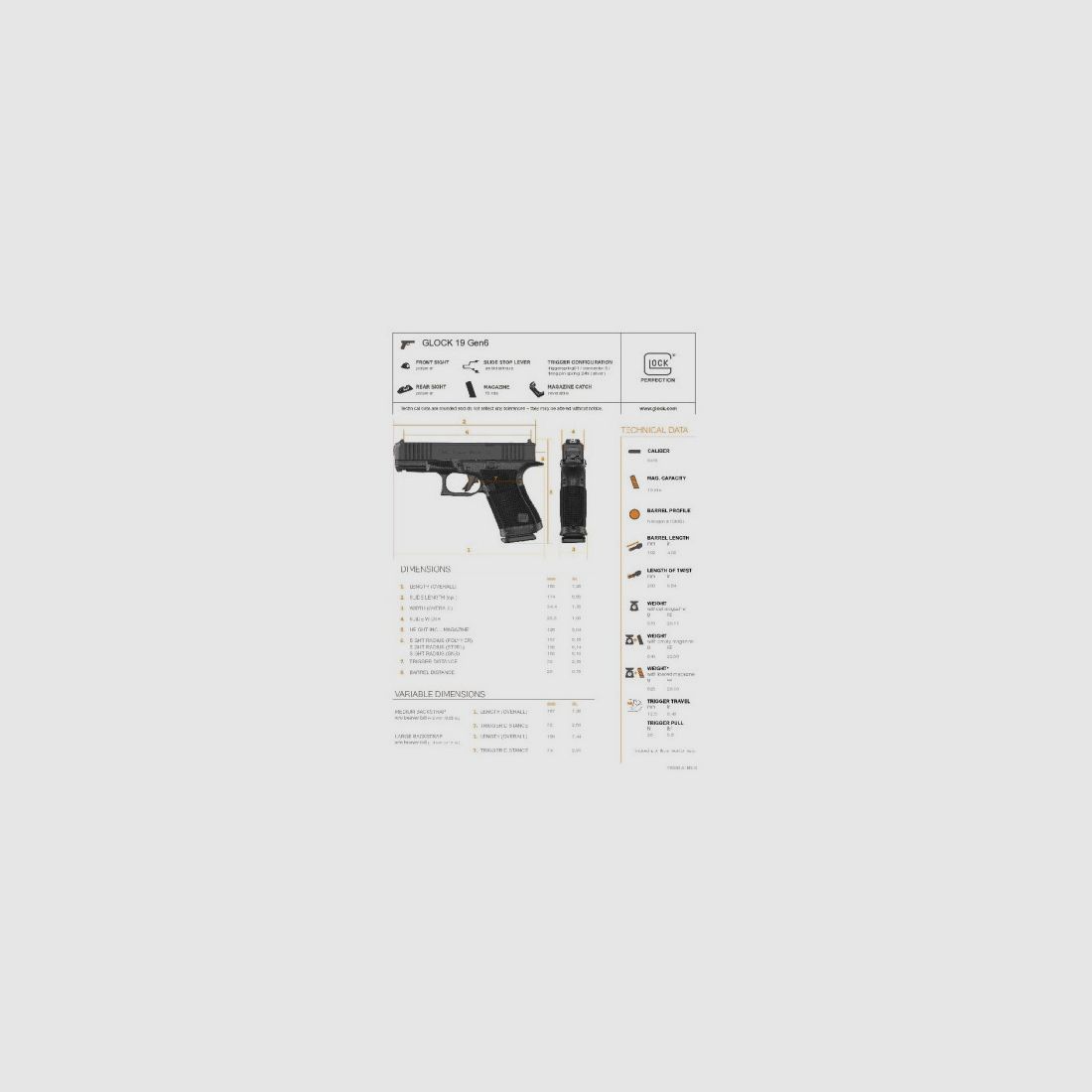 PISTOLET GLOCK 45 GEN6 OR FS CALIBRE 9X19, image 6 sur 10