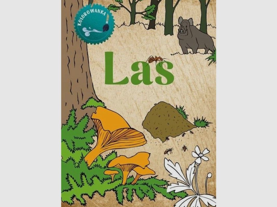 LIBRO PARA COLOREAR – BOSQUE