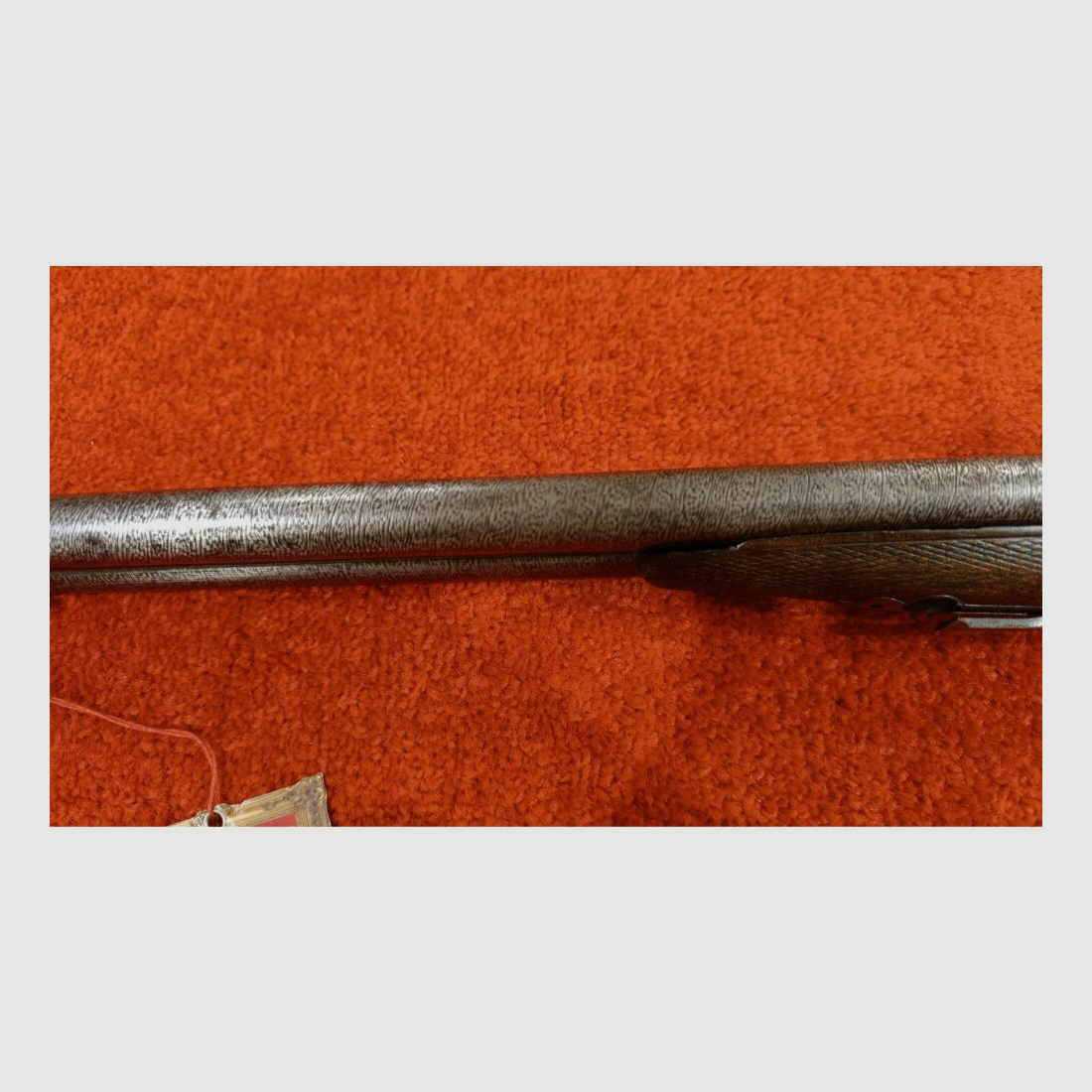 Julius Rösler in Salzburg 16/65;16/65