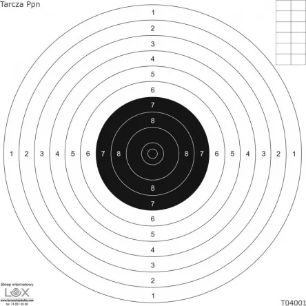 Tarcze do pistoletu pneumatycznego na kartonie 170x170mm (op. 25szt)
