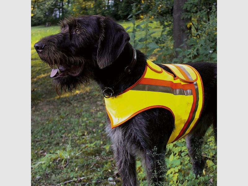 Reflektorweste für Hunde Größe 1 für Teckel