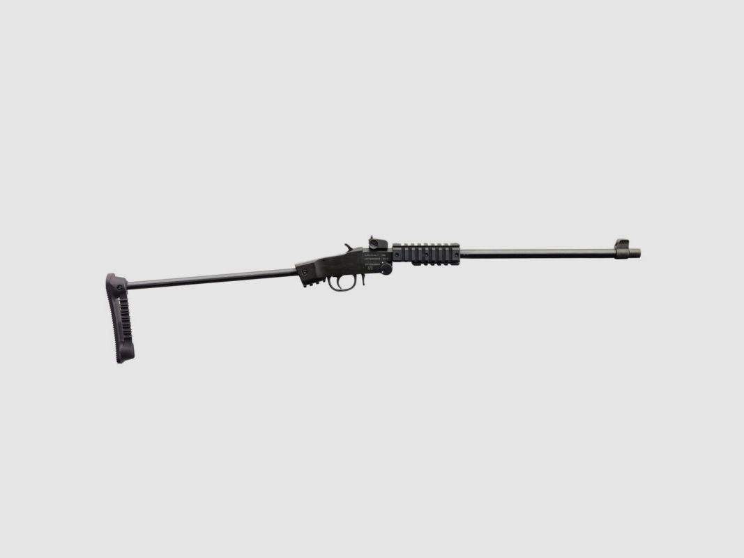 Carabine Chiappa Little Badger Take Down .22l.r, image 1 sur 2