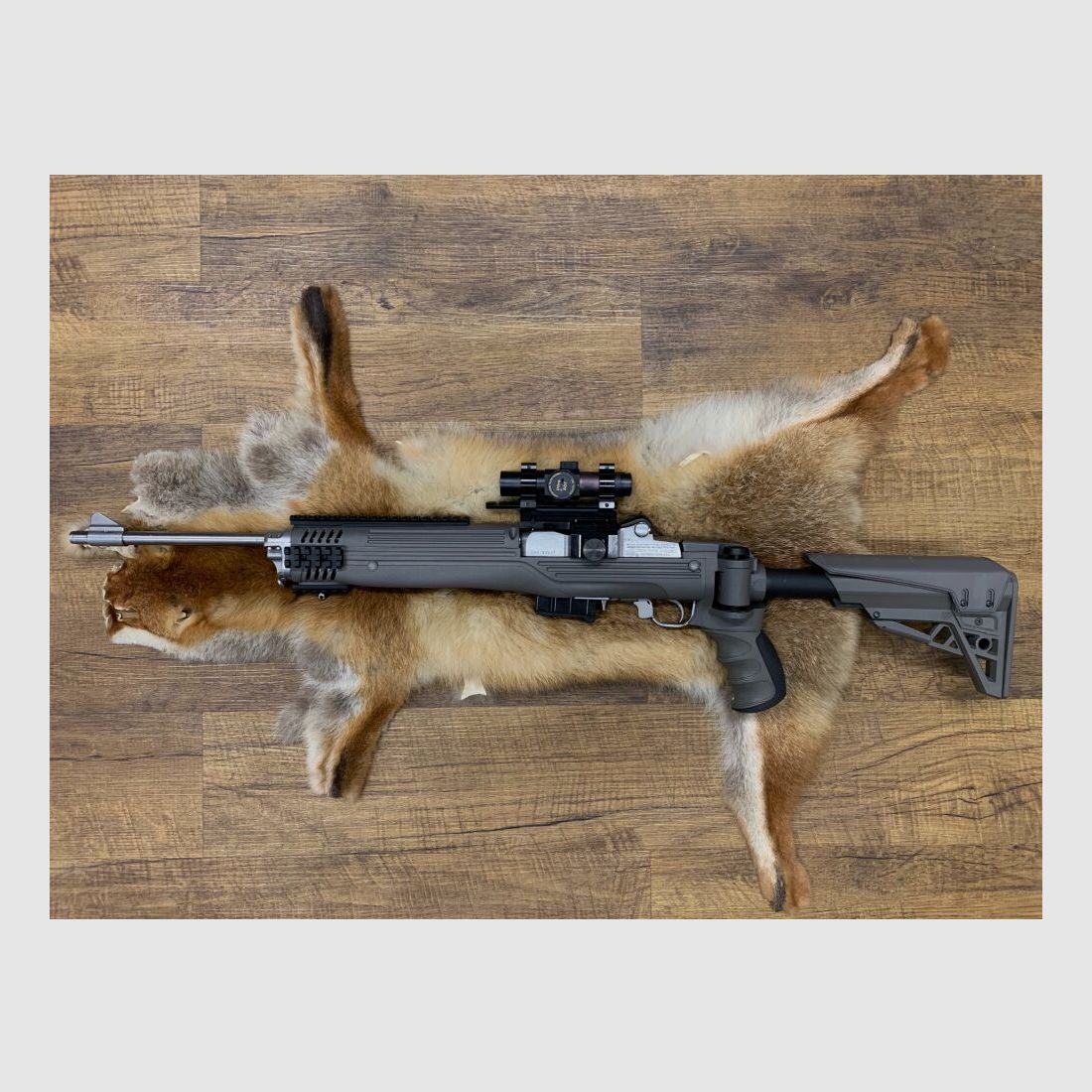 Ruger Mini-14