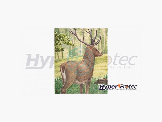 Blason d'Archerie Poster Farbe Hirsch 95 x 118 cm