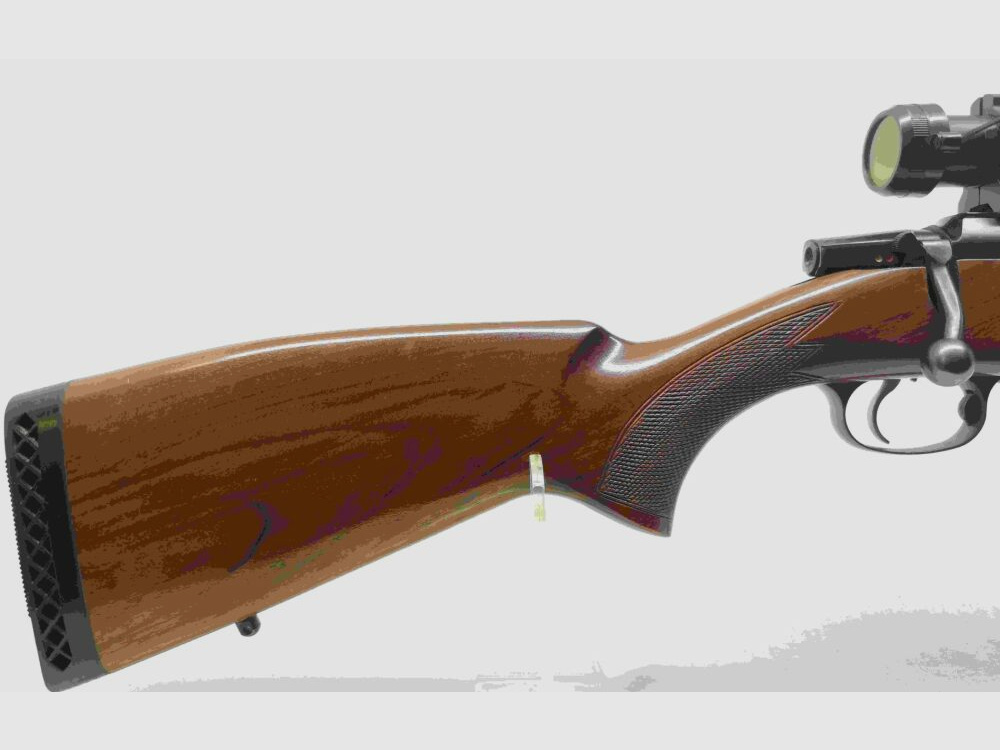 ZBROJOVKA BRNO CZ 550
